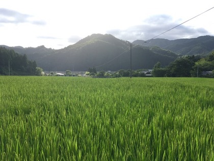 夏のロケ in岡山